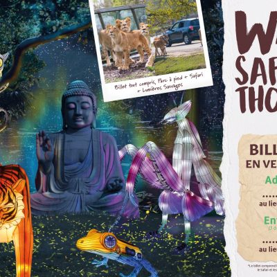 affiche festival des lumières sauvages safari thoiry