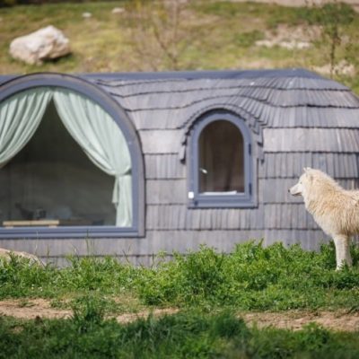 loudges, hebergement immersif sur le territoire des loups