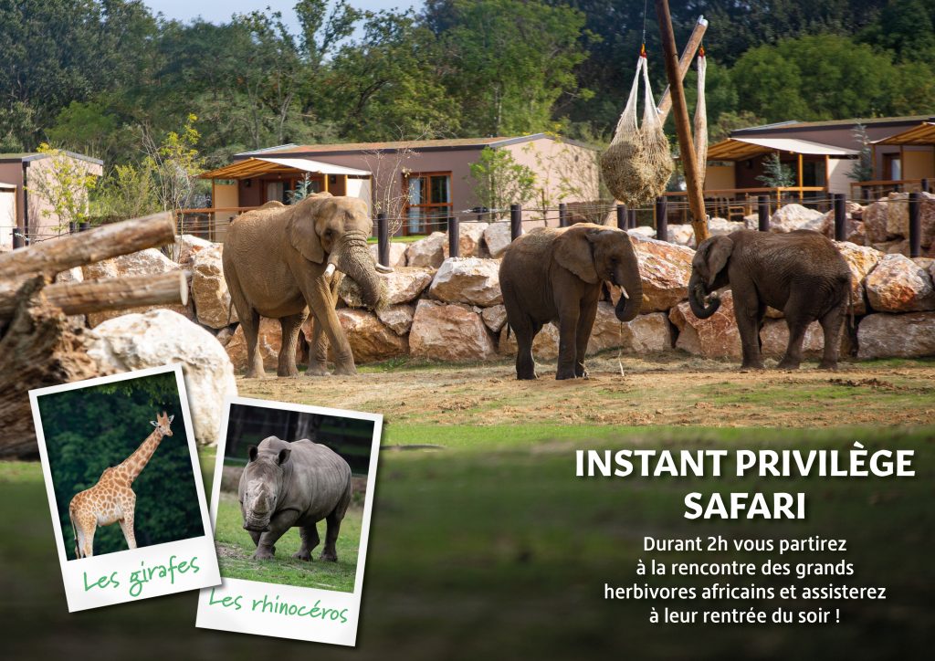 Instant Privilège Safari