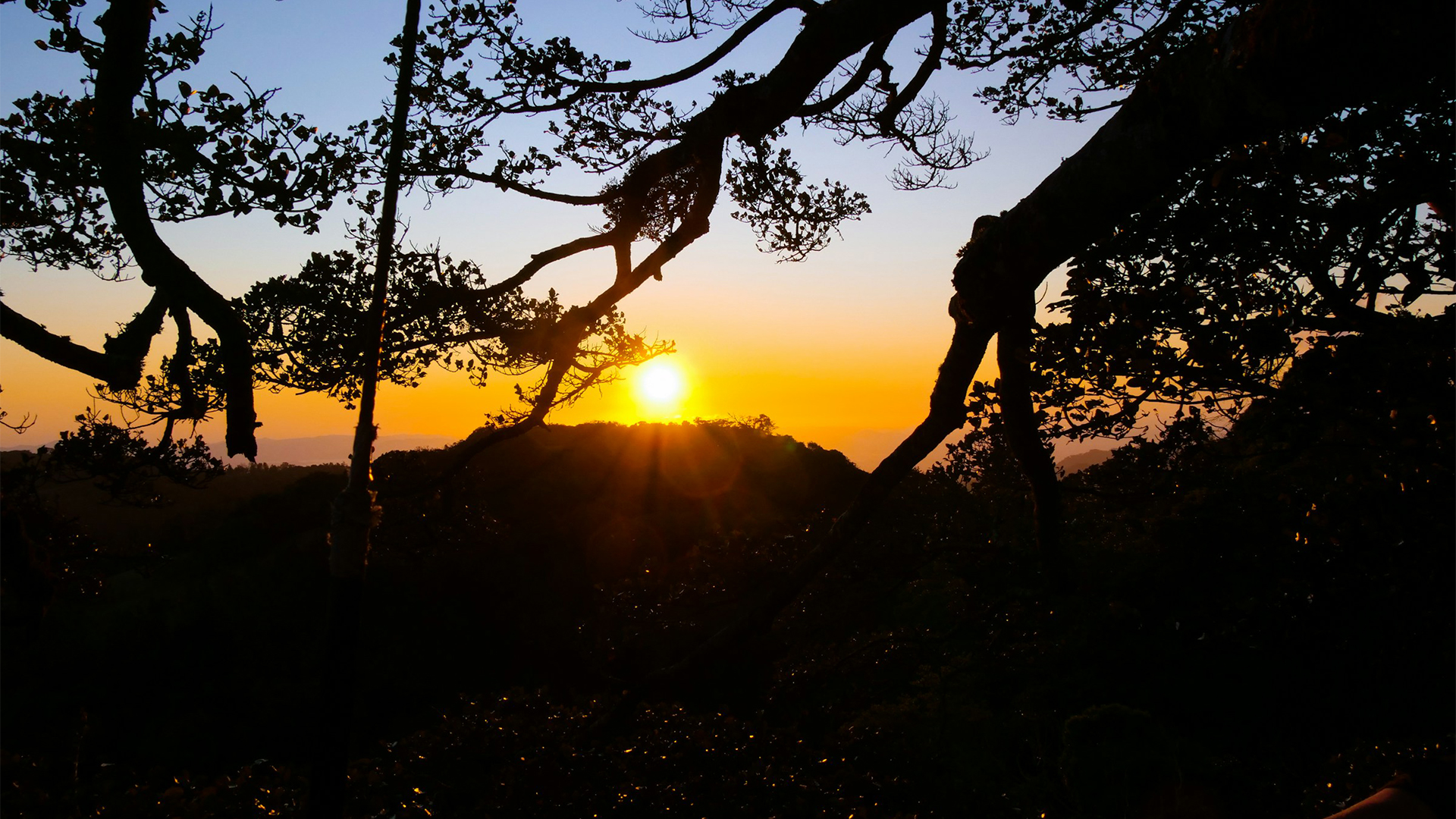 Sunset Parc de Thoiry