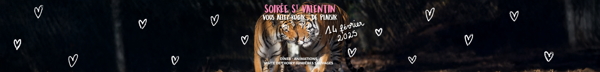 Soirée de la Saint Valentin